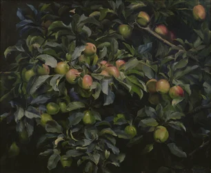 Pommes Mûres